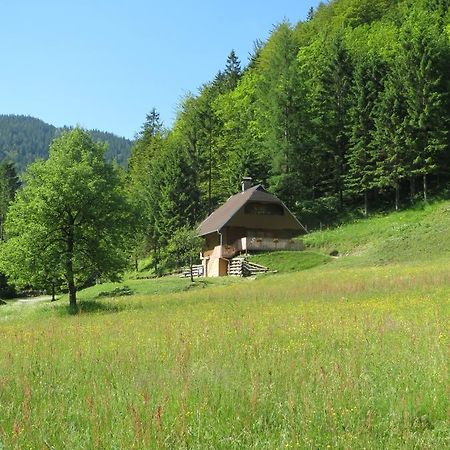 Apartmaji Brloznica Pod Veliko Planino Luče Habitación foto
