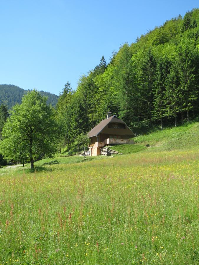 Apartmaji Brloznica Pod Veliko Planino Luče Habitación foto